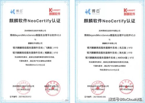 博云微服務產品與麒麟軟件完成兼容互認證，共筑國產化云原生生態